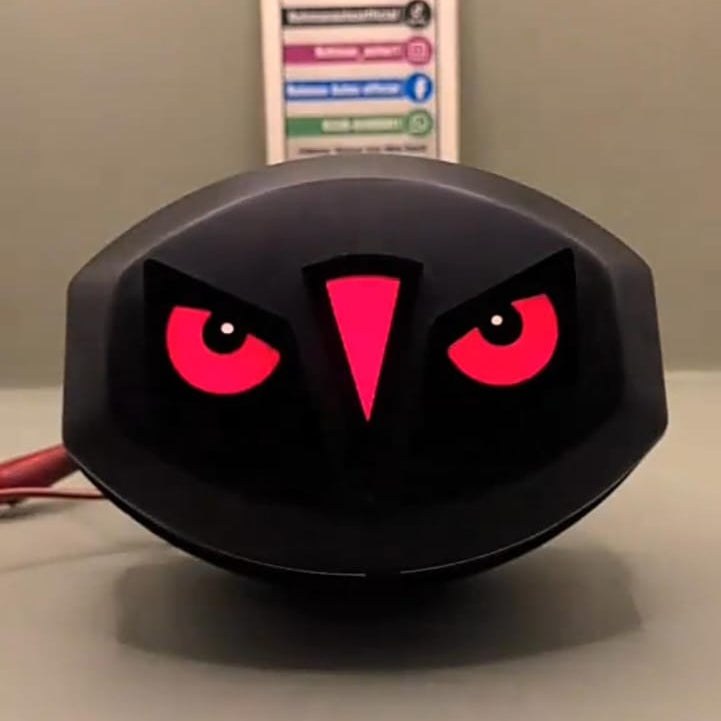 Multicolor Eyes Back Light for CG-125 & CD-70 (With any Free Gift)